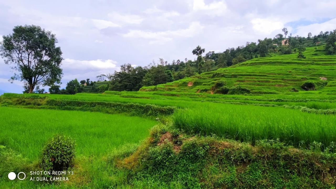 Patlekhet Eco Farmhouse Dhulikhel Exteriér fotografie