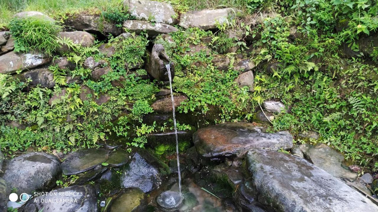 Patlekhet Eco Farmhouse Dhulikhel Exteriér fotografie