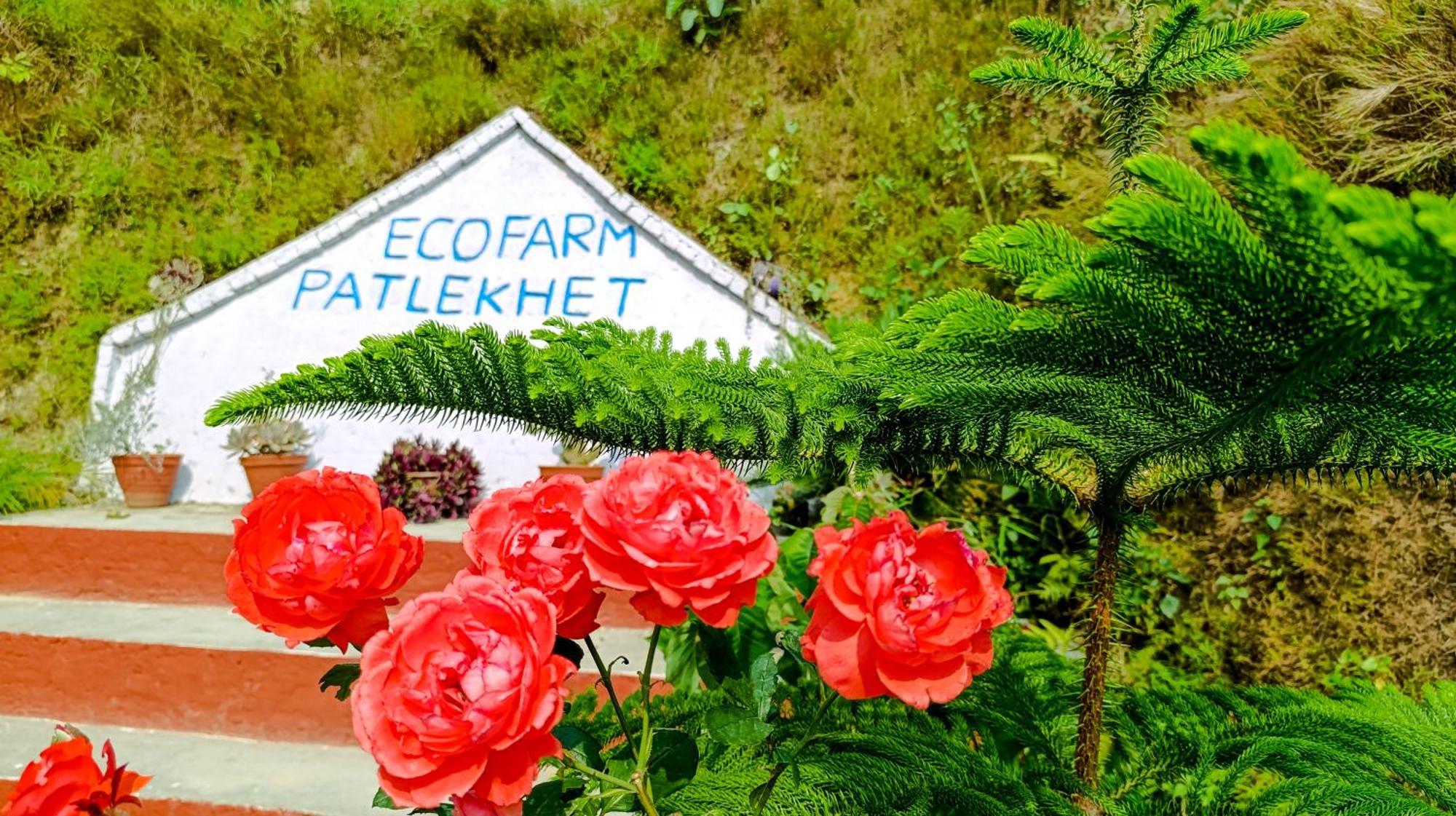 Patlekhet Eco Farmhouse Dhulikhel Exteriér fotografie